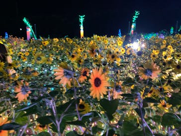 せんだい農業園芸センター　みどりの杜に投稿された画像（2022/8/22）