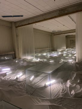 大地の芸術祭 実行委員会に投稿された画像（2022/8/22）