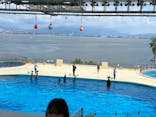 マリンワールド海の中道に投稿された画像（2022/8/22）