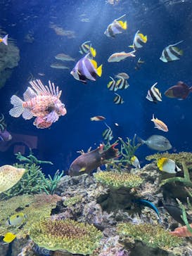 マリンワールド海の中道に投稿された画像（2022/8/22）