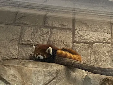 天王寺動物園に投稿された画像（2022/8/22）
