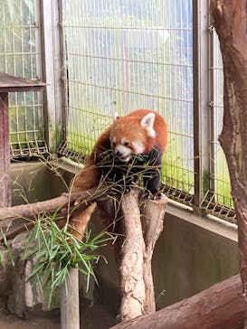 熱川バナナワニ園に投稿された画像（2022/8/22）