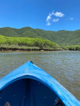 マングローブ茶屋に投稿された画像（2022/8/22）