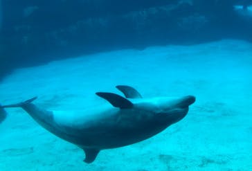 名古屋港水族館に投稿された画像（2022/8/22）