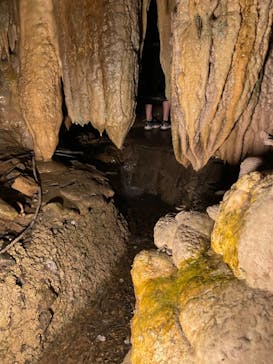 あぶくま洞に投稿された画像（2022/8/22）