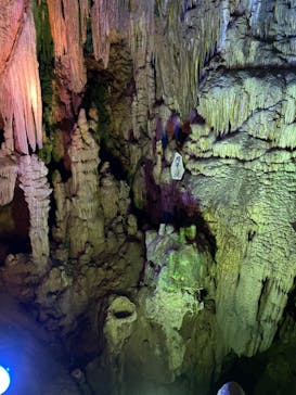 あぶくま洞に投稿された画像（2022/8/22）