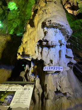 あぶくま洞に投稿された画像（2022/8/22）