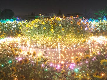 せんだい農業園芸センター　みどりの杜に投稿された画像（2022/8/22）