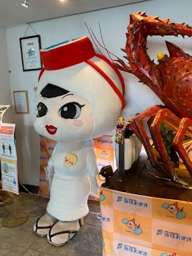 志摩市浜島磯体験施設 海ほおずきに投稿された画像（2022/8/22）