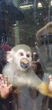 姫路セントラルパークに投稿された画像（2022/8/22）