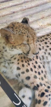 姫路セントラルパークに投稿された画像（2022/8/22）