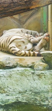 姫路セントラルパークに投稿された画像（2022/8/22）