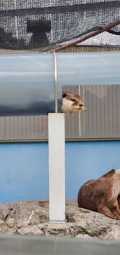 姫路セントラルパークに投稿された画像（2022/8/22）