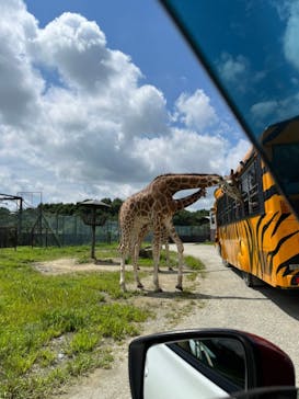 那須サファリパークに投稿された画像（2022/8/22）