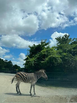 那須サファリパークに投稿された画像（2022/8/22）