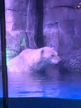 横浜・八景島シーパラダイスに投稿された画像（2022/8/22）