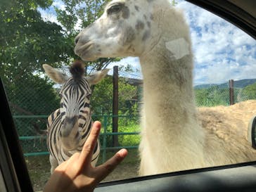 東北サファリパークに投稿された画像（2022/8/22）