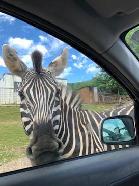 東北サファリパークに投稿された画像（2022/8/22）