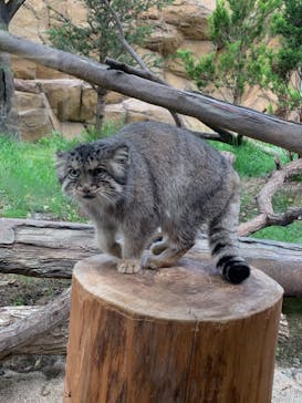 那須どうぶつ王国に投稿された画像（2022/8/22）