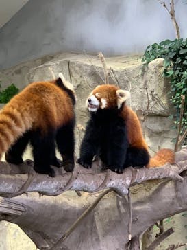 那須どうぶつ王国に投稿された画像（2022/8/22）