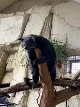 那須どうぶつ王国に投稿された画像（2022/8/22）