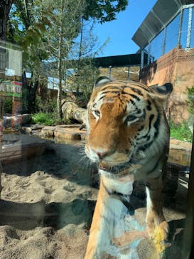 那須どうぶつ王国に投稿された画像（2022/8/22）