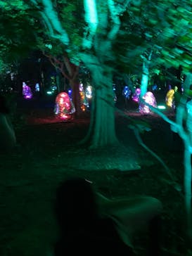 チームラボ ボタニカルガーデン 大阪に投稿された画像（2022/8/22）