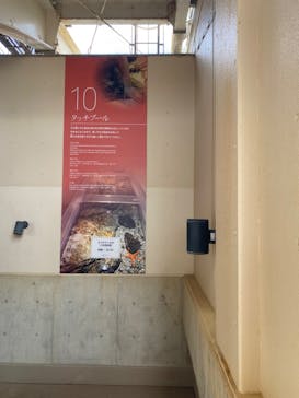 新江ノ島水族館に投稿された画像（2022/8/22）