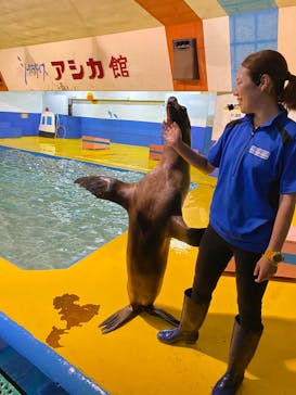 ゼロ距離水族館 伊勢シーパラダイスに投稿された画像（2022/8/22）
