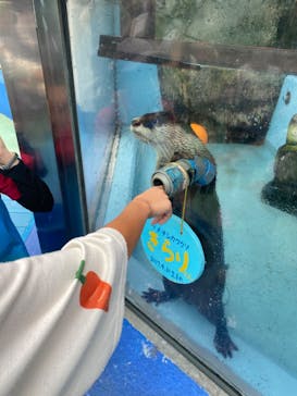 ゼロ距離水族館 伊勢シーパラダイスに投稿された画像（2022/8/22）