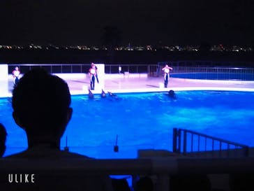 マリンワールド海の中道に投稿された画像（2022/8/22）