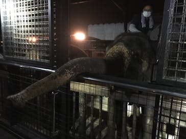 那須サファリパークに投稿された画像（2022/8/22）