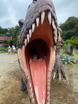 伊豆ぐらんぱる公園に投稿された画像（2022/8/22）