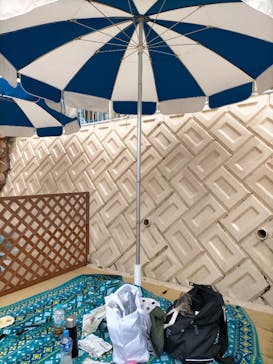 日本モンキーパークに投稿された画像（2022/8/21）