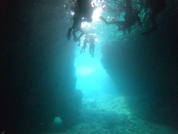 武藤潜水に投稿された画像（2022/8/23）