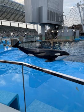 名古屋港水族館に投稿された画像（2022/8/23）