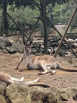 伊豆シャボテン動物公園に投稿された画像（2022/8/23）