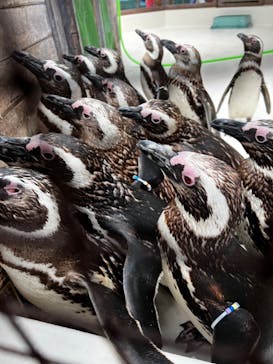 株式会社Gに投稿された画像（2022/8/23）