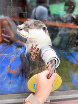 ゼロ距離水族館 伊勢シーパラダイスに投稿された画像（2022/8/23）