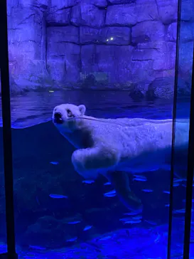 横浜・八景島シーパラダイスに投稿された画像（2022/8/23）