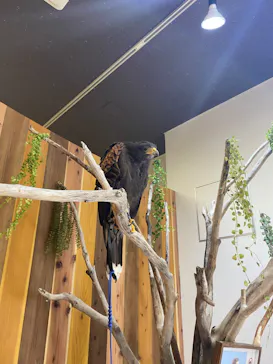 横浜・八景島シーパラダイスに投稿された画像（2022/8/23）