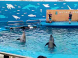 仙台うみの杜水族館に投稿された画像（2022/8/23）