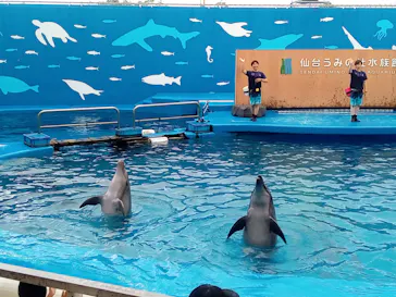 仙台うみの杜水族館に投稿された画像（2022/8/23）