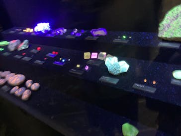 特別展「宝石　地球がうみだすキセキ」（名古屋市科学館　理工館地下２階イベントホール）に投稿された画像（2022/8/23）