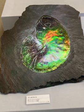 特別展「宝石　地球がうみだすキセキ」（名古屋市科学館　理工館地下２階イベントホール）に投稿された画像（2022/8/23）