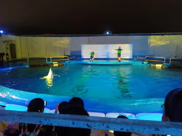 仙台うみの杜水族館に投稿された画像（2022/8/23）