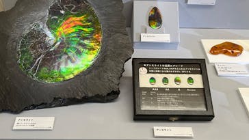 特別展「宝石　地球がうみだすキセキ」（名古屋市科学館　理工館地下２階イベントホール）に投稿された画像（2022/8/23）