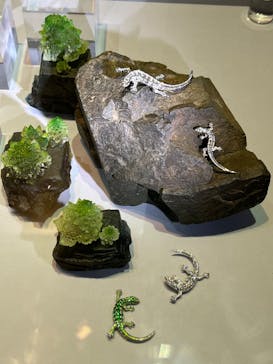 特別展「宝石　地球がうみだすキセキ」（名古屋市科学館　理工館地下２階イベントホール）に投稿された画像（2022/8/23）