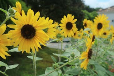 志摩スペイン村パルケエスパーニャに投稿された画像（2022/8/23）