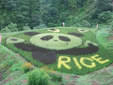 大地の芸術祭 実行委員会に投稿された画像（2022/8/23）